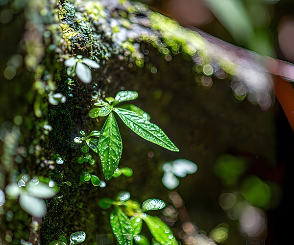 Yunnan Yuntianhua Co., Ltd.