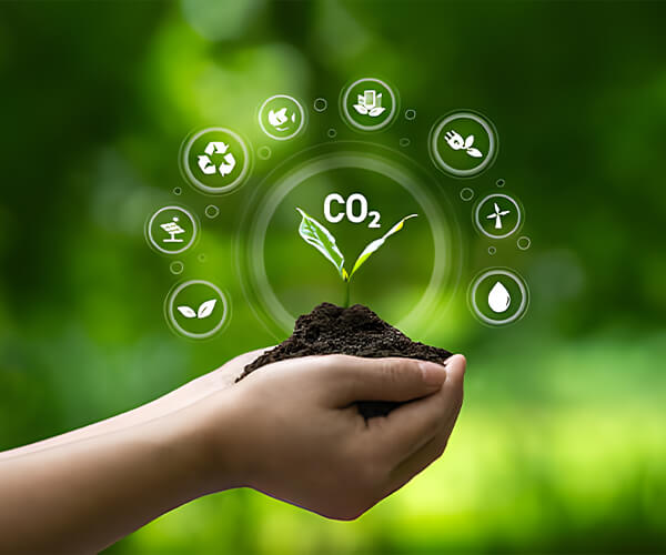 Social Responsibility